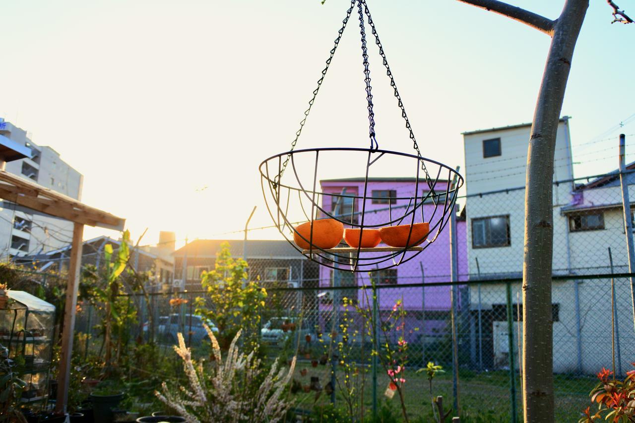 Kamagasaki University Of The Arts Cafe Garden Guest House Aka Cocoroom Osaka Eksteriør billede